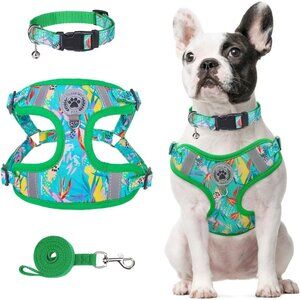 Beautyzoo Dog Harness Set Reflective Adjustable Quick Release Buckle 3-In-1 XS